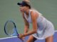 Beatriz Haddad Maia v Amanda Anisimova live streaming, predictions WTA Adelaide International 2 2023